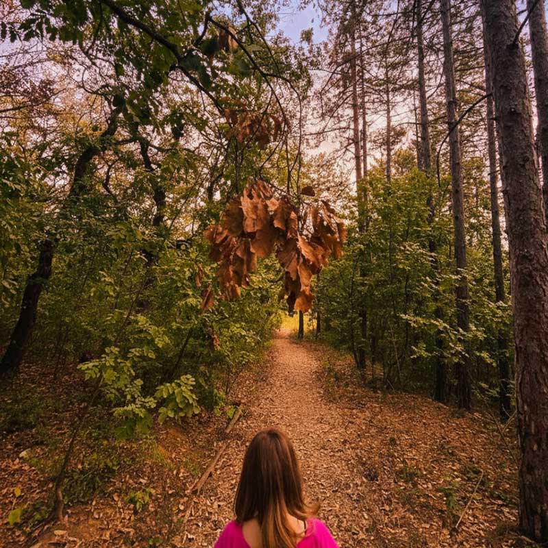 Optimizacija srčanog ritma HRV Vrdnik vikend za dvoje u prirodi