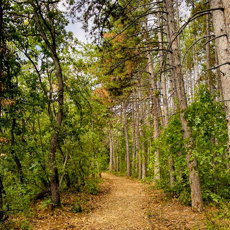 Obnova kognitivne energije i fokusa Vrdnik vikend za dvoje u prirodi