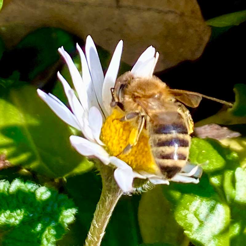 Regulacija cirkadijalnog ritma i melatonina Vrdnik vikend za dvoje u prirodi