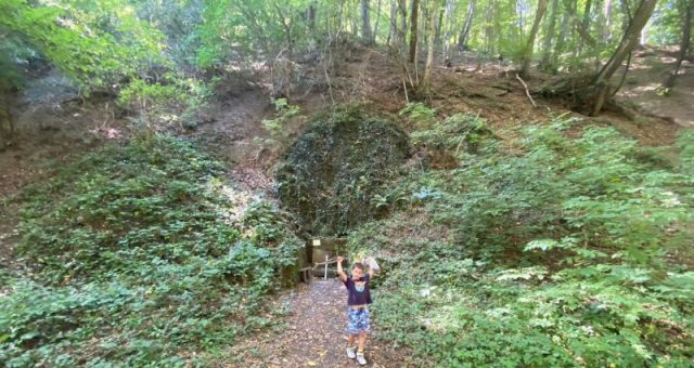 Hiking Fruška Gora – Miličin izvor